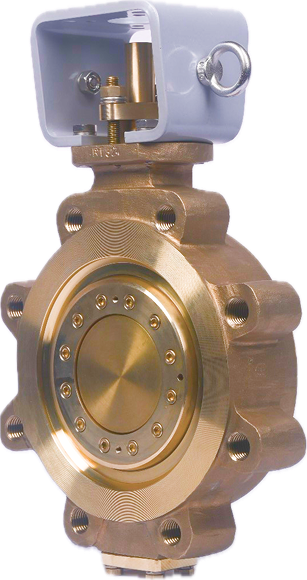image 22.png